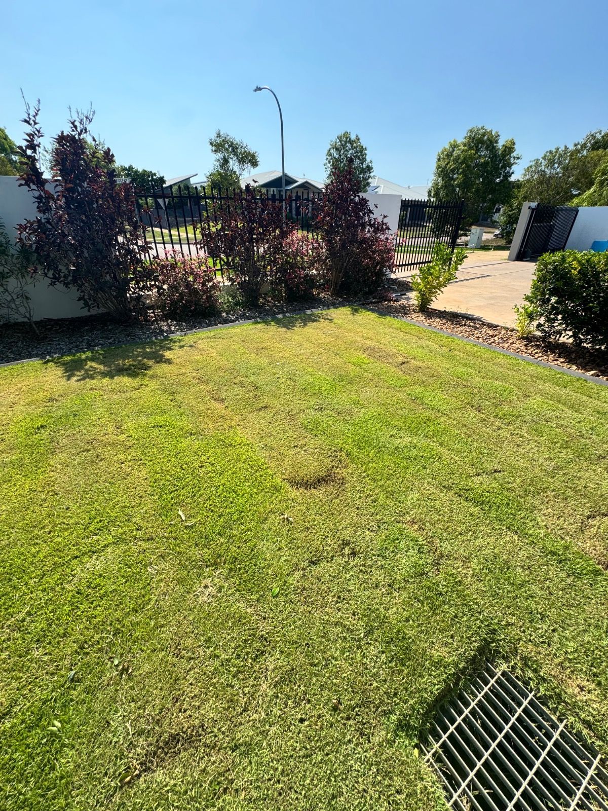 After photo of a freshly landscaped garden in Muirhead Northern Territory showing neat green lawn and new plants