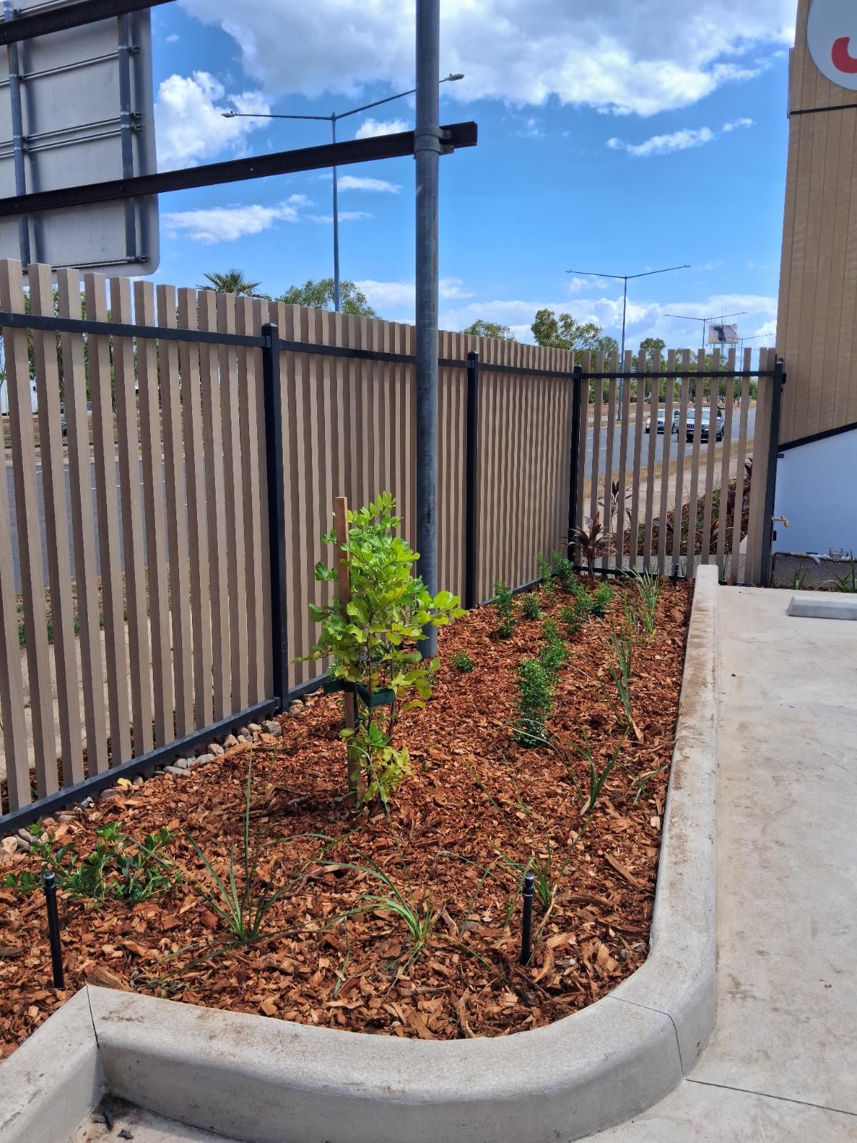 When to Call a Professional for Landscaping Service: Practical Advice for Local Property Managers and Homeowners