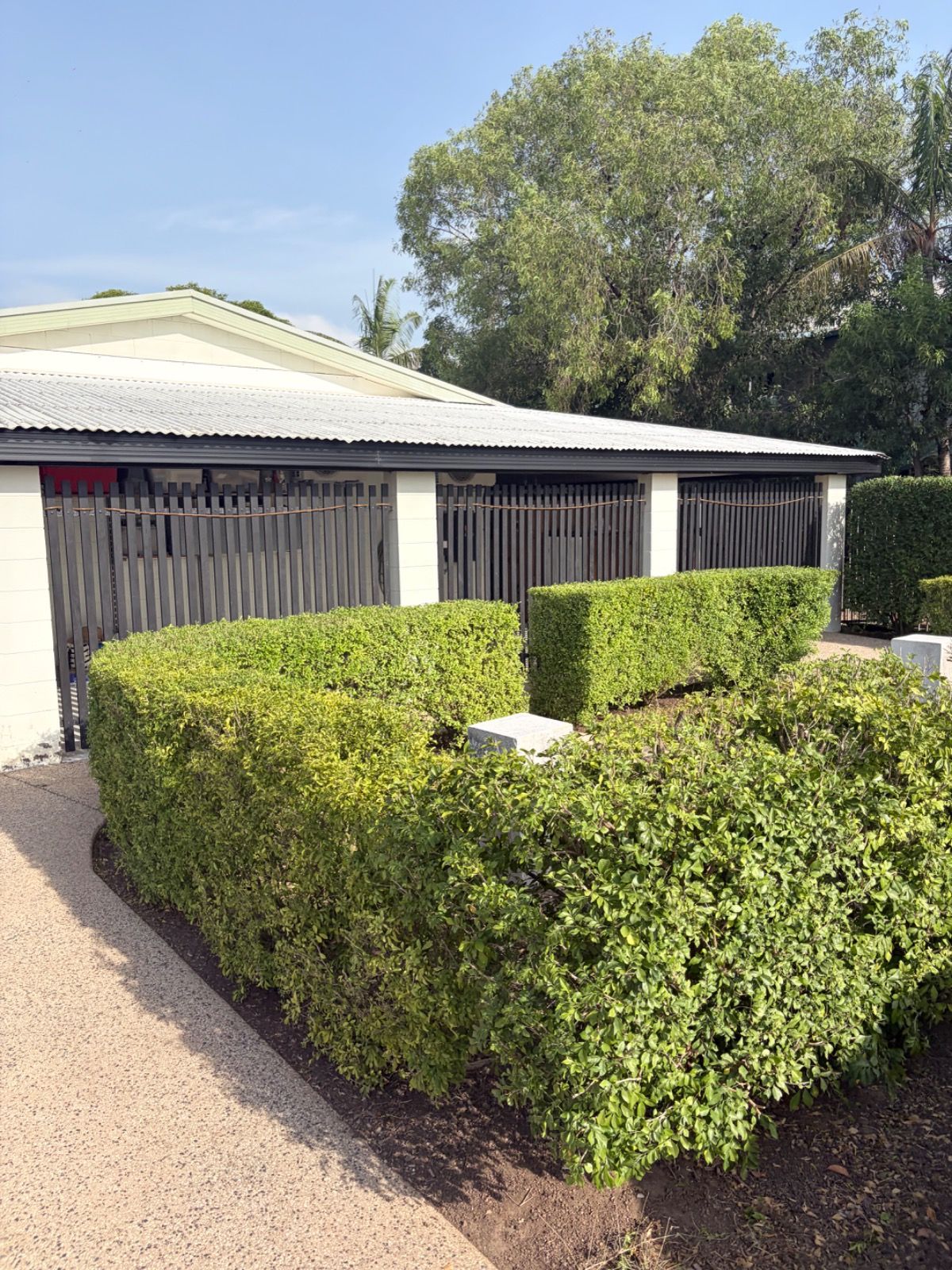 Neatly trimmed green hedges along a paved garden path with a black fence and trees in the background.