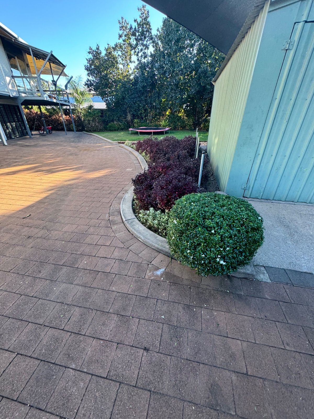 Curved paved driveway alongside garden beds with trimmed bushes and plants next to a green shed in a residential yard on a clear day.