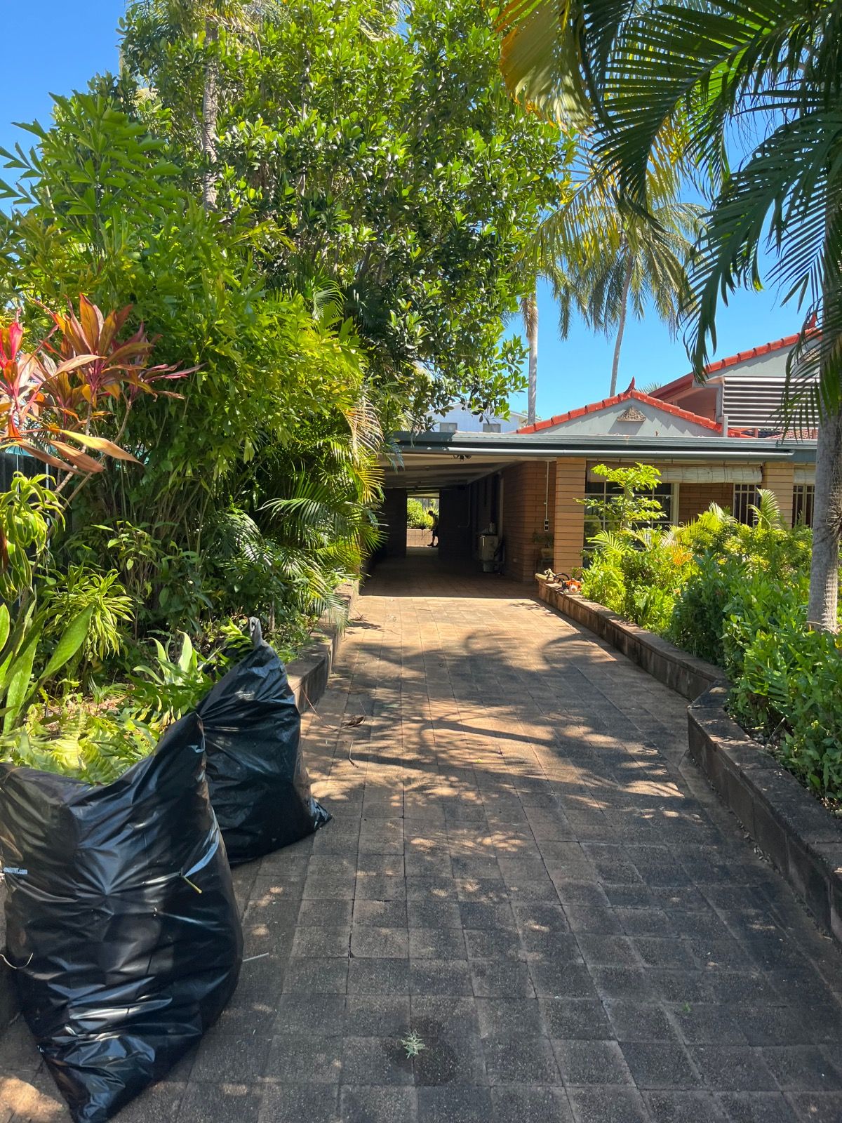 Freshly landscaped outdoor area in Karama finished by iScape NT with neat garden beds and manicured lawn