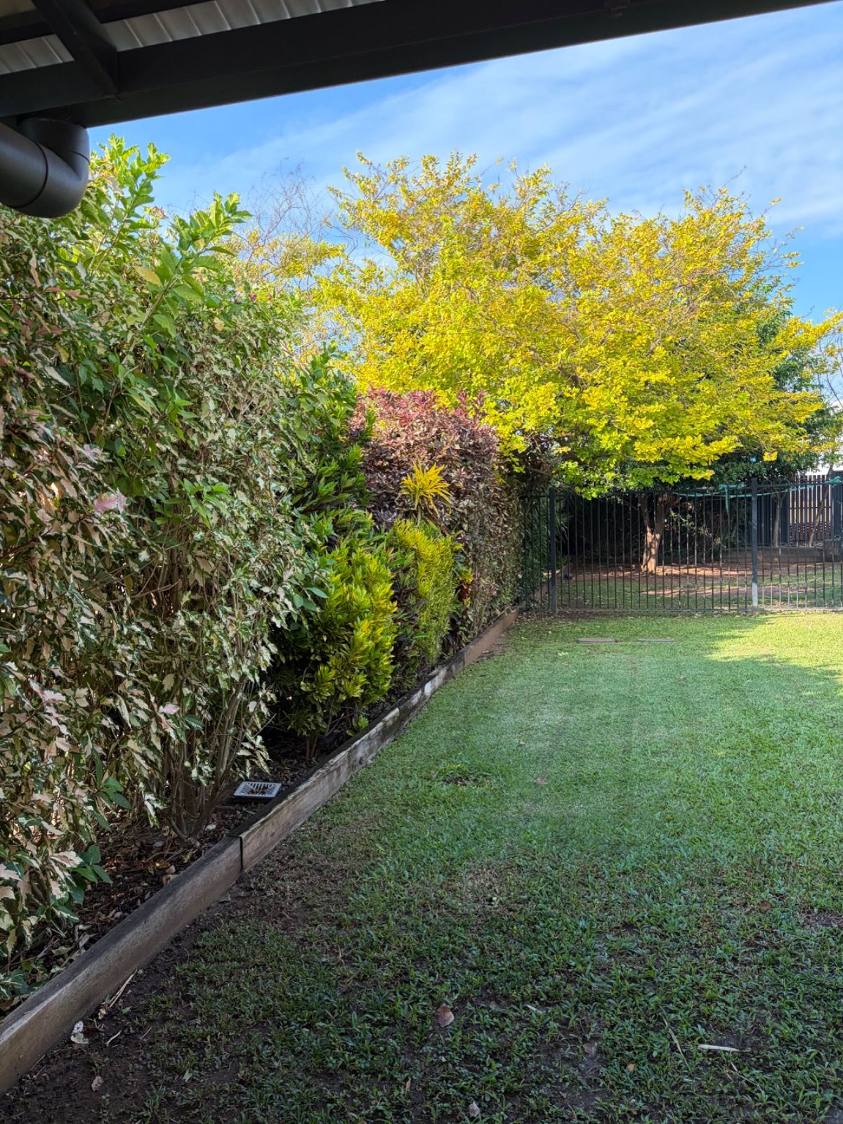 Garden with neatly trimmed hedges along a wooden border and a freshly mowed grassy lawn under a blue sky
