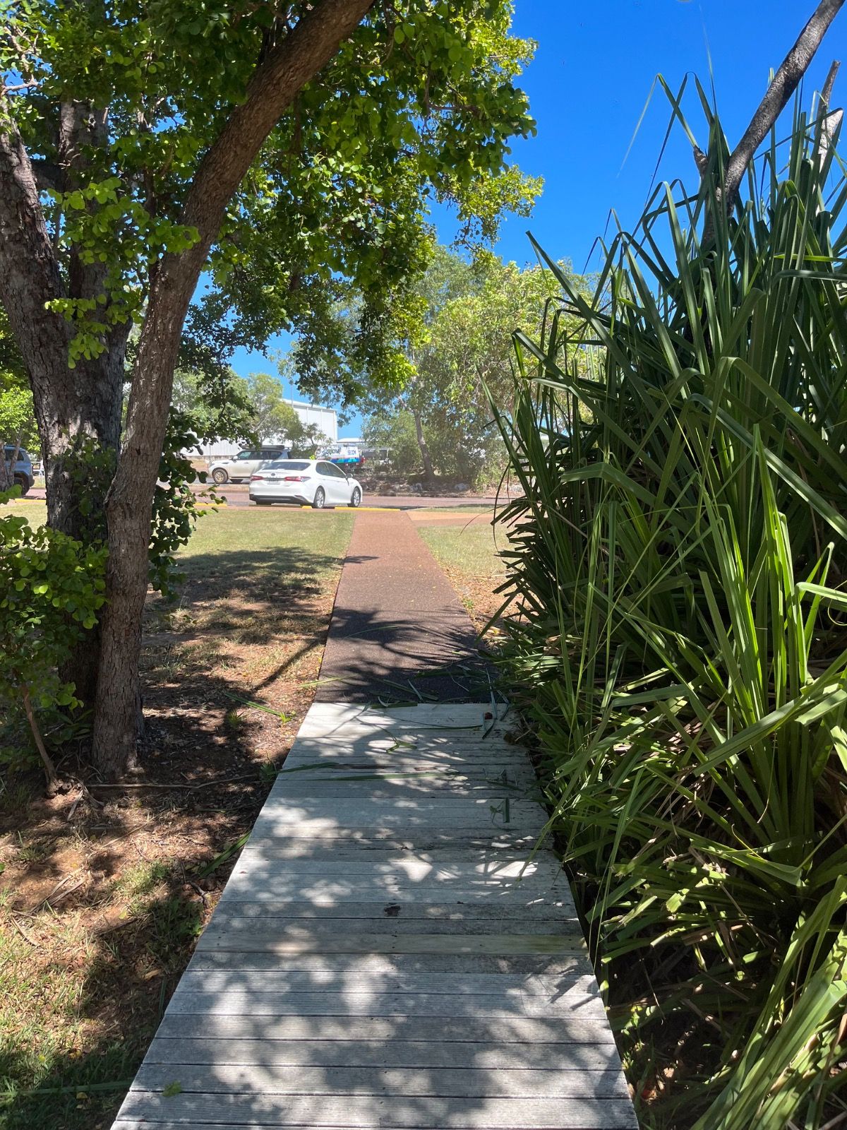 Completed landscaping work in Eaton Northern Territory, featuring tidy garden beds and fresh mulch after service by iScape NT