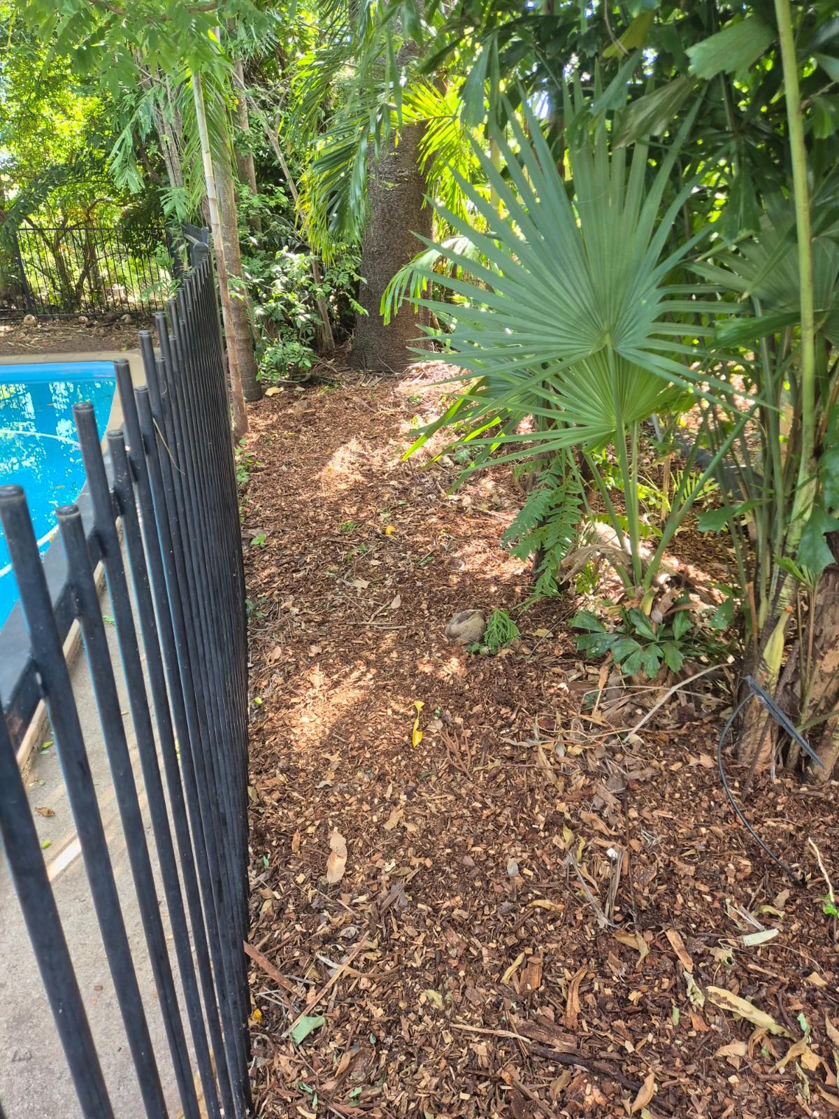 Completed landscaping project with fresh greenery and tidy garden bed in Tiwi, Northern Territory.