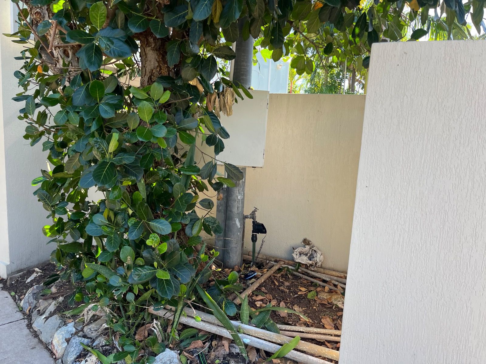 Complete Guide to Clean Up Yard Service in NT with iScape NT