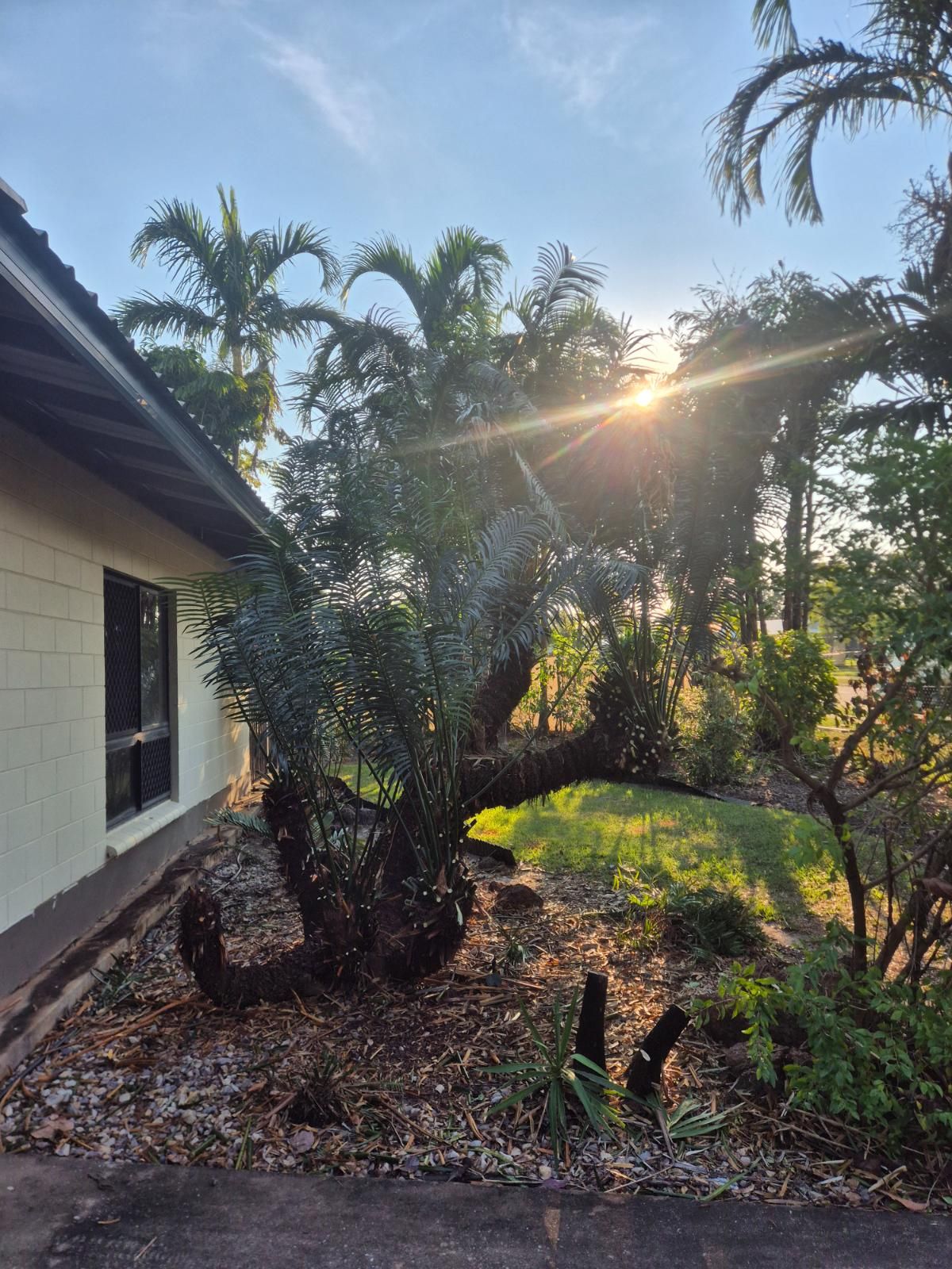 How to Prepare for a Productive Conversation About Professional Garden Maintenance