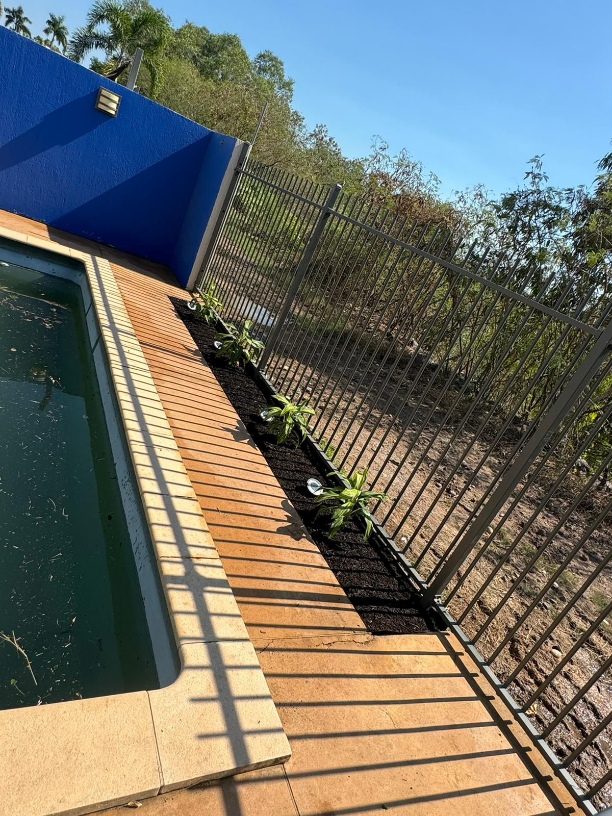 Clean pool edge with beige pavers and a neat garden bed with green plants and fresh dark mulch beside a metal fence under clear blue sky.
