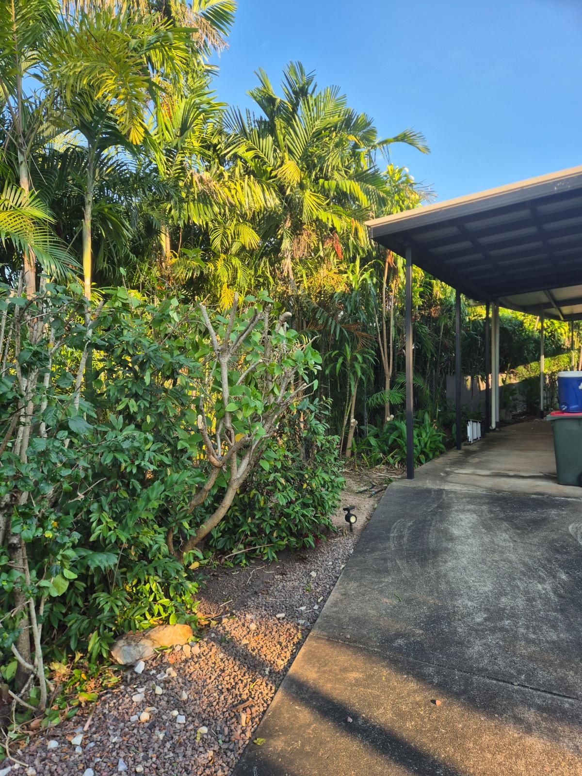 Key Questions to Consider When Selecting Professional Garden Maintenance