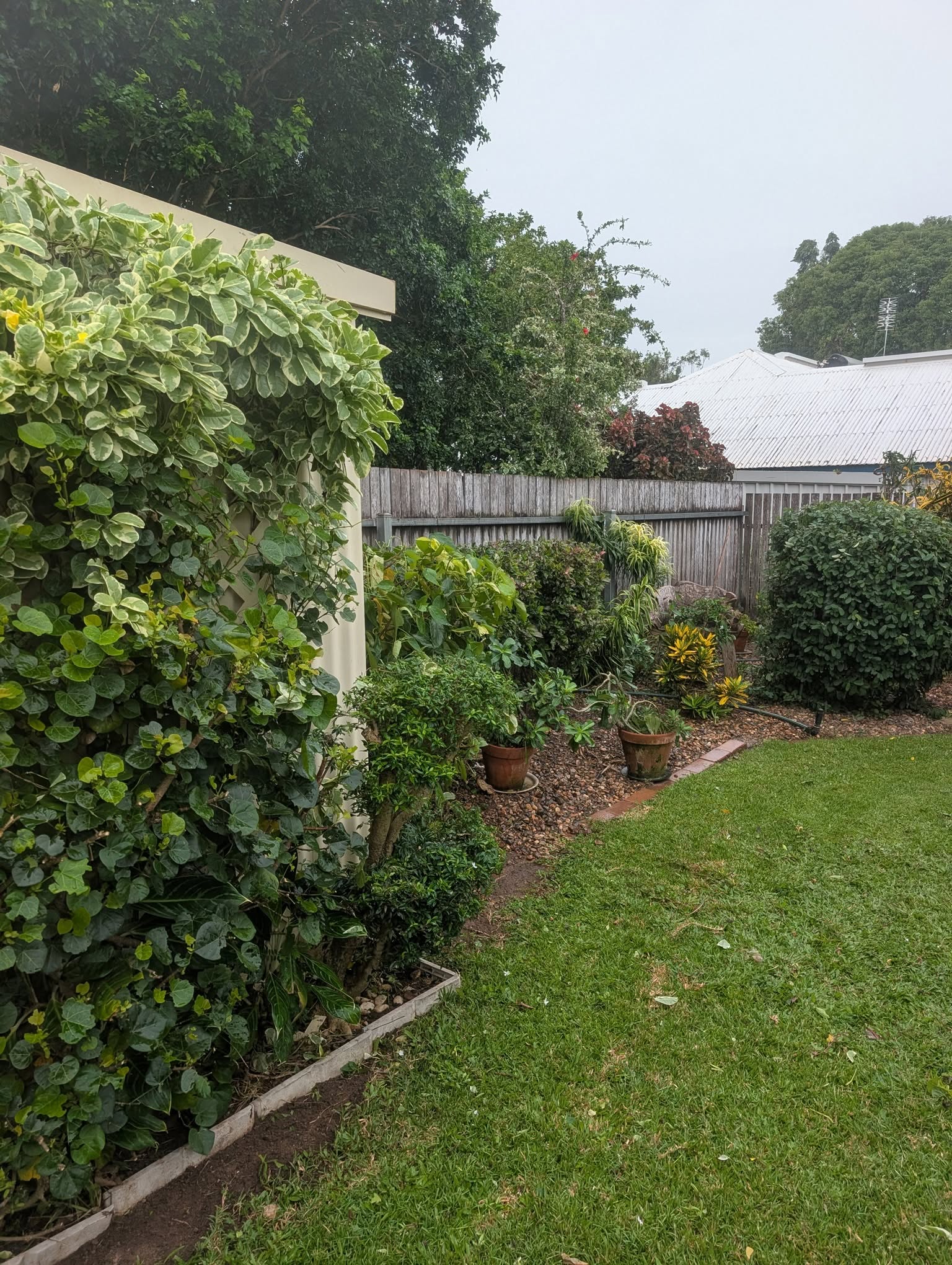 Garden Maintenance